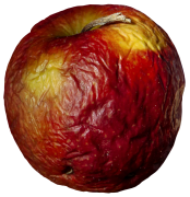 pomme 39 liste